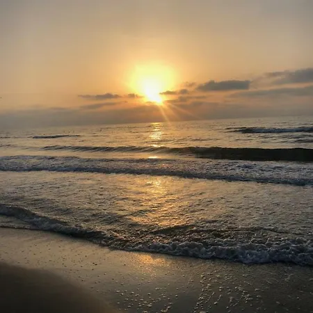 Vela Luxury Sea View - Marina Surf Năvodari