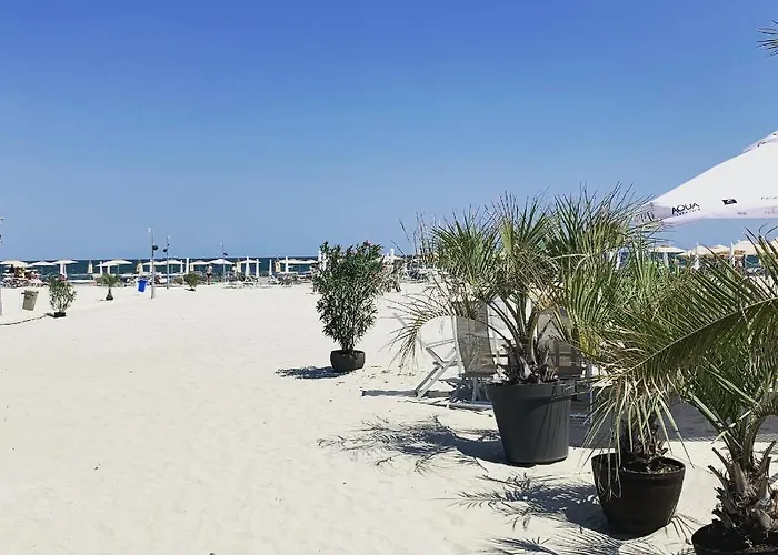 Vela Luxury Sea View - Marina Surf Apartment Năvodari