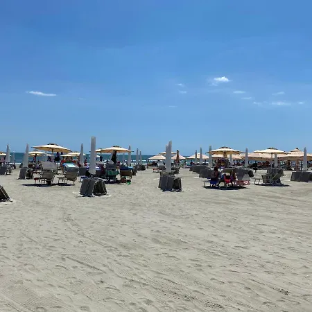 Vela Luxury Sea View - Marina Surf * Navodari