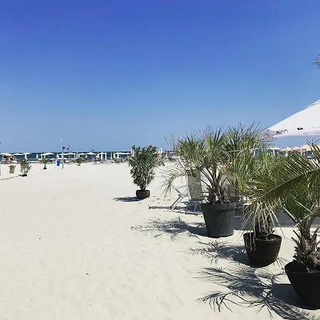 Vela Luxury Sea View - Marina Surf Lägenhet Năvodari