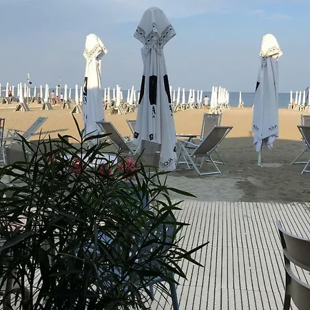 Vela Luxury Sea View - Marina Surf Navodari