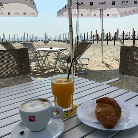 Vela Luxury Sea View - Marina Surf * Navodari
